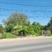 Snagov, Ciofliceni